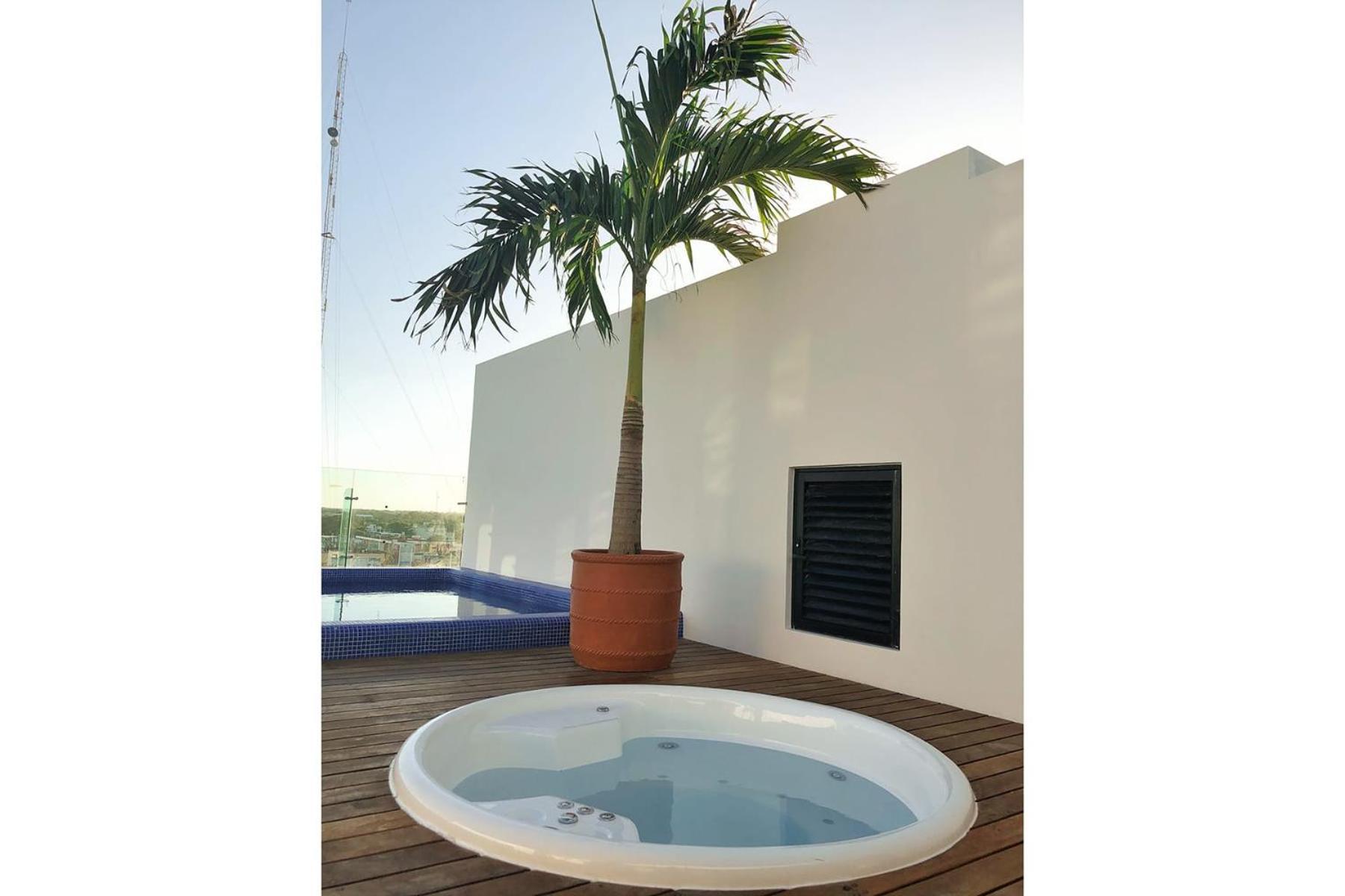 Lovely Icono Playa By Stella Rentals Playa del Carmen Eksteriør billede